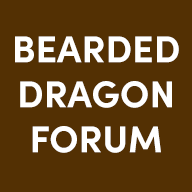 www.beardeddragonforum.com