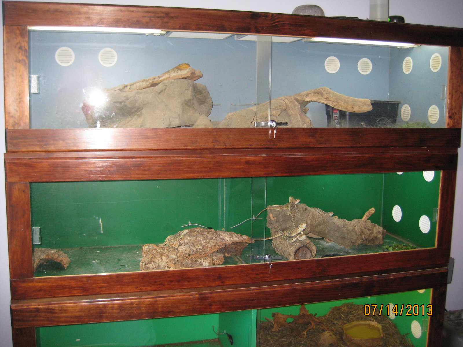 reptile cages