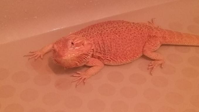 A nice warm bath after some snow time